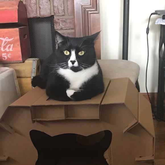 Meet your Posher, Nathalie - Picture 1 of 1